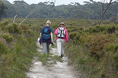 Walking Ecotours with Gippsland High Country Tours