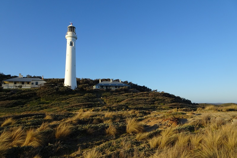 Pt Hicks Lighthouse Nature Tours